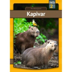 Kapivar