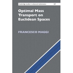 Optimal Mass Transport on Euclidean Spaces