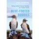 Blue-Footed Boobies: Sibling Conflict and Sexual Infidelity on a Tropical Island
