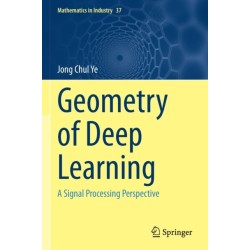 Geometry of Deep Learning: A Signal Processing Perspective