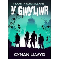 Gwyliwr, Y