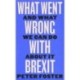 What Went Wrong With Brexit: And What We Can Do About It