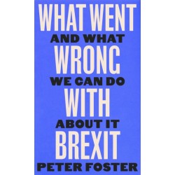 What Went Wrong With Brexit: And What We Can Do About It