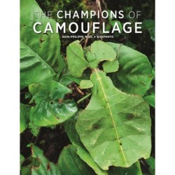 Champions of Camouflage