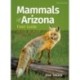 Mammals of Arizona Field Guide