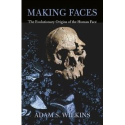 Making Faces: The Evolutionary Origins of the Human Face