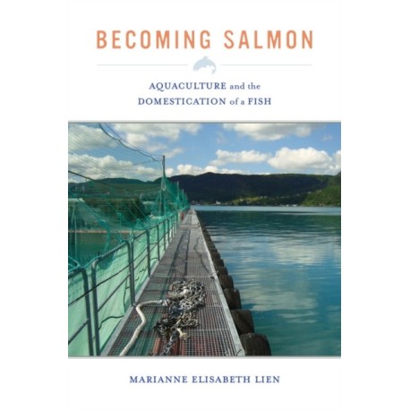 Becoming Salmon: Aquaculture and the Domestication of a Fish