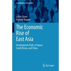 The Economic Rise of East Asia: Development Paths of Japan, South Korea, and China