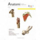Anatomi - Bog 1: Arbejdsbog 1 - bevægeapparatets anatomi