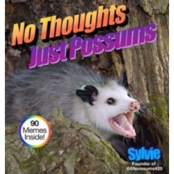 No Thoughts Just Possums: 90 Hilarious Memes