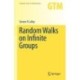 Random Walks on Infinite Groups