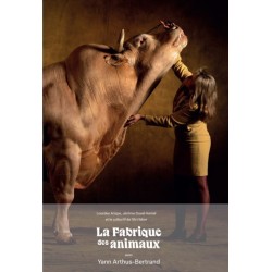 The Animal Factory: Faber art notebooks, no.1