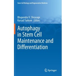 Autophagy in Stem Cell Maintenance and Differentiation