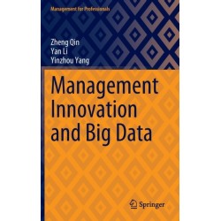 Management Innovation and Big Data