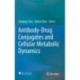 Antibody-Drug Conjugates and Cellular Metabolic Dynamics