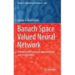 Banach Space Valued Neural Network: Ordinary and Fractional Approximation and Interpolation
