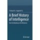 A Brief History of Intelligence: From the Big Bang to the Metaverse