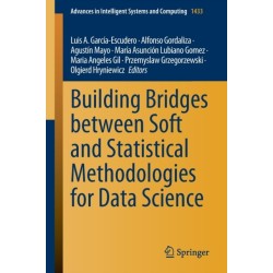 Building Bridges between Soft and Statistical Methodologies for Data Science