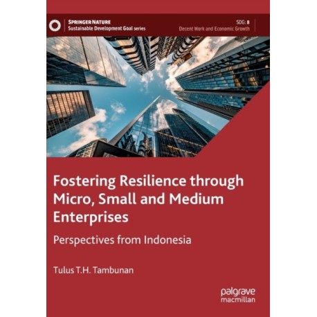 Fostering Resilience through Micro, Small and Medium Enterprises: Perspectives from Indonesia