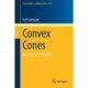 Convex Cones: Geometry and Probability