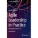 Agile Leadership in Practice: Applying Management 3.0