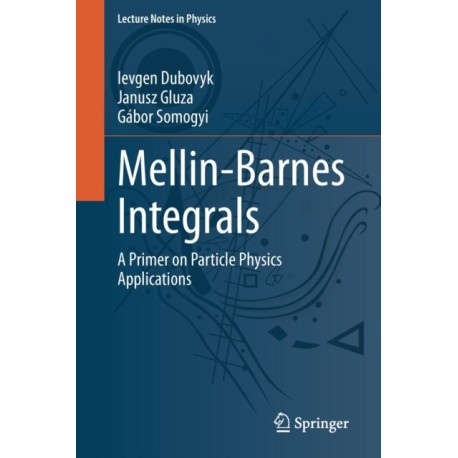 Mellin-Barnes Integrals: A Primer on Particle Physics Applications