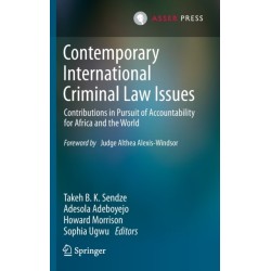 Contemporary International Criminal Law Issues: Contributions in Pursuit of Accountability for Africa and the World