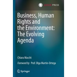 Business, Human Rights and the Environment: The Evolving Agenda