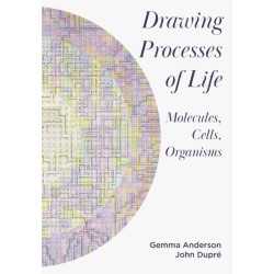Drawing Processes of Life: Molecules, Cells, Organisms