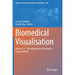 Biomedical Visualisation: Volume 12 - The Importance of Context in Image-Making