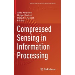 Compressed Sensing in Information Processing