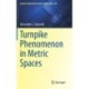 Turnpike Phenomenon in Metric Spaces