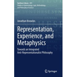 Representation, Experience, and Metaphysics: Towards an Integrated Anti-Representationalist Philosophy