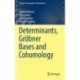 Determinants, Grobner Bases and Cohomology