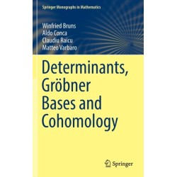 Determinants, Grobner Bases and Cohomology
