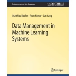 Data Management in Machine Learning Systems