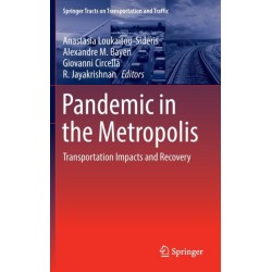 Pandemic in the Metropolis: Transportation Impacts and Recovery