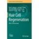 Hair Cell Regeneration
