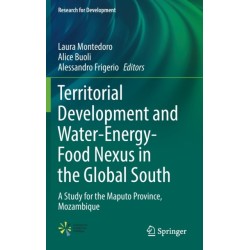 Territorial Development and Water-Energy-Food Nexus in the Global South: A Study for the Maputo Province, Mozambique