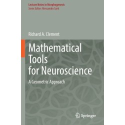 Mathematical Tools for Neuroscience: A Geometric Approach