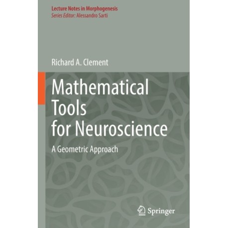 Mathematical Tools for Neuroscience: A Geometric Approach
