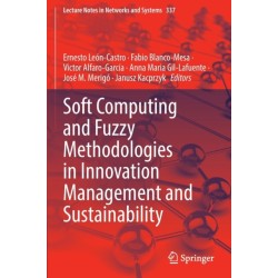 Soft Computing and Fuzzy Methodologies in Innovation Management and Sustainability