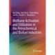 Methane Activation and Utilization in the Petrochemical and Biofuel Industries