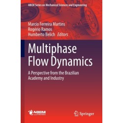 Multiphase Flow Dynamics: A Perspective from the Brazilian Academy and Industry