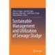 Sustainable Management and Utilization of Sewage Sludge