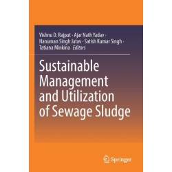 Sustainable Management and Utilization of Sewage Sludge