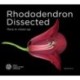 Rhododendron Dissected: Flora in Close-up