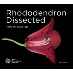 Rhododendron Dissected: Flora in Close-up