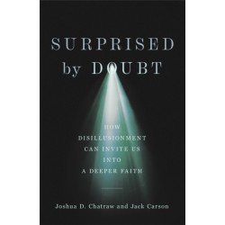 Surprised by Doubt – How Disillusionment Can Invite Us into a Deeper Faith