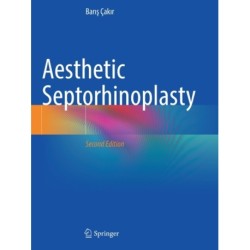 Aesthetic Septorhinoplasty